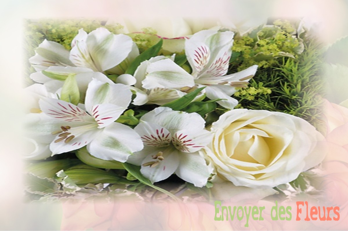 envoyer des fleurs à à LANEUVEVILLE-EN-SAULNOIS